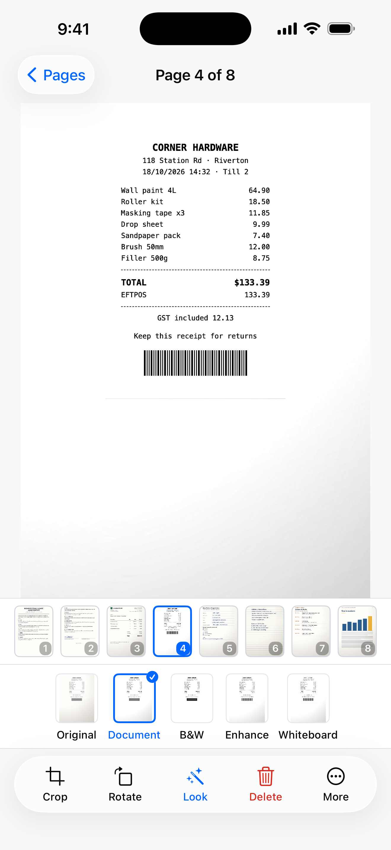 Page Looks and Filters Screenshot